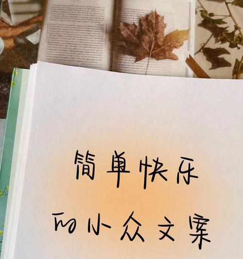小众唯美句子的力量（25个段落）