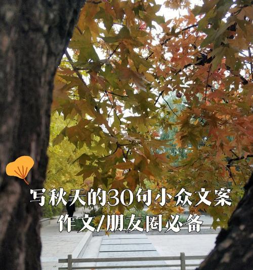 寻找属于自己的夏日气息（寻找属于自己的夏日气息）
