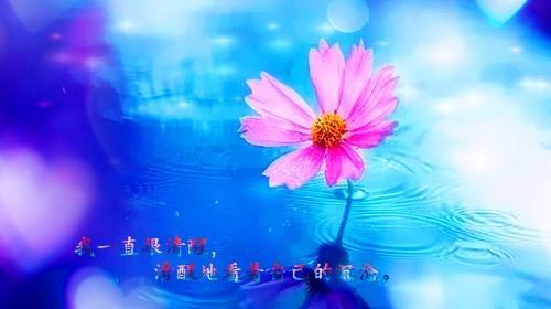 柔美的心灵故事（25段唯美短句带你走进心灵的花园）