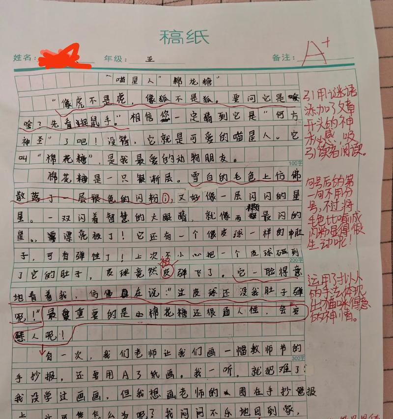 芒种杯100字（《芒种时节，红色经典在我心中生根发芽》）