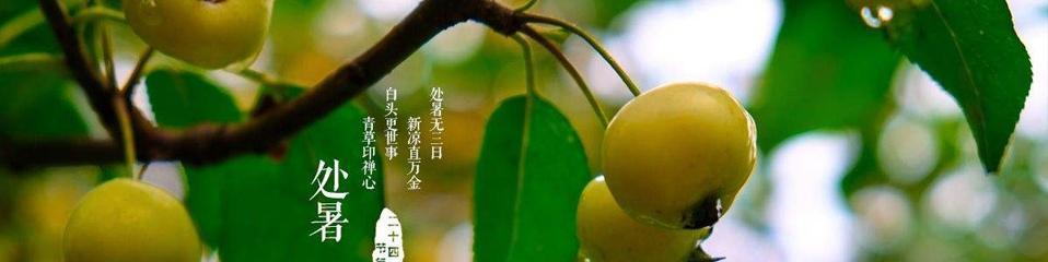 夏日炎炎，唯美处暑（用25句话）