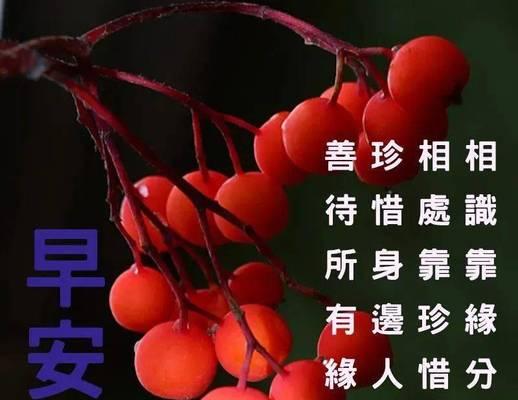 甜蜜的早晨，和你在一起（每天都想说的那句话）