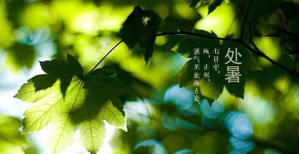 用唯美短句，送上最美的祝福（用唯美短句）