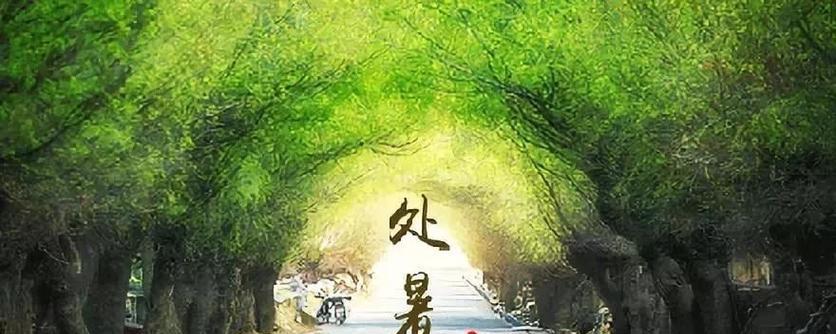以美丽的语言，为你送上最真挚的祝福（以美丽的语言）