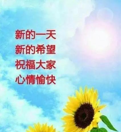 温暖清晨，暖心问候（美好心情语录）