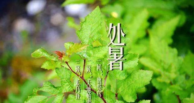 晨曦中的2024处暑（唯美短句尽显炎炎夏日之美）