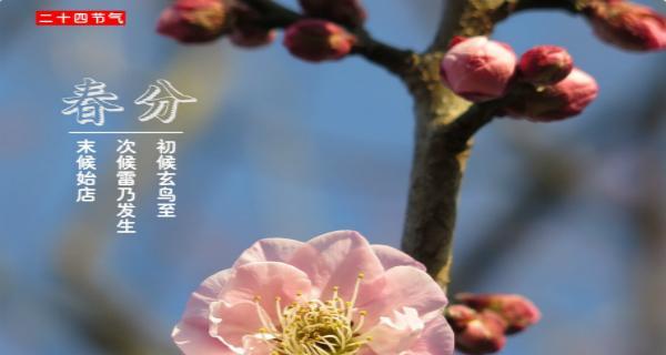 2024春分祝福语说说：送你最美好的祝福