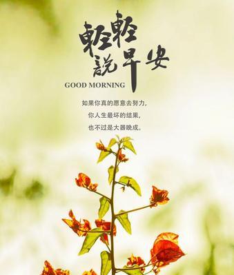 早安，唤醒心灵的短语（最能打动人心的早安问候语）