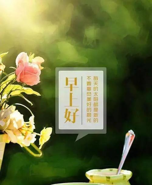 感动人心的早安问候语录（用一句简短的问候）