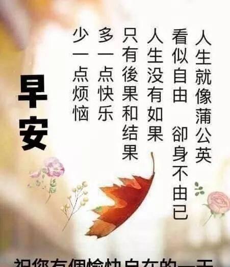 一起来享受这美好的一天吧（一起来享受这美好的一天吧）