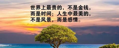 语言之美（探寻最美语言句子的魅力）