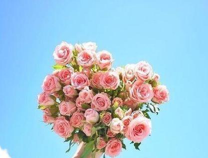 心灵之花，盛开在文字间（心灵之花）