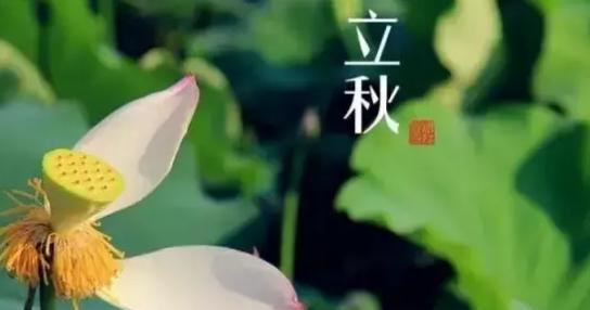 立秋祝福语句子大全（共享秋日美好）