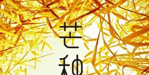 芒种节气祝福语，让祝福如麦浪飘荡（95条唯美短句）