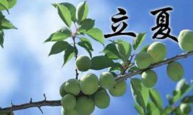 温馨、唯美、祝福（温馨）