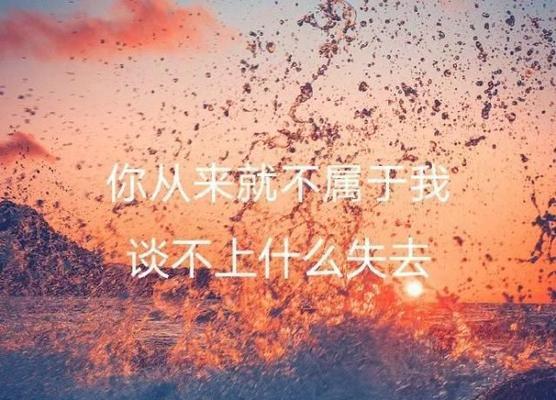 用心感悟生命的美好（用心感悟生命的美好）