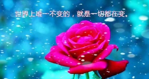 感受经典之美（感受经典之美）