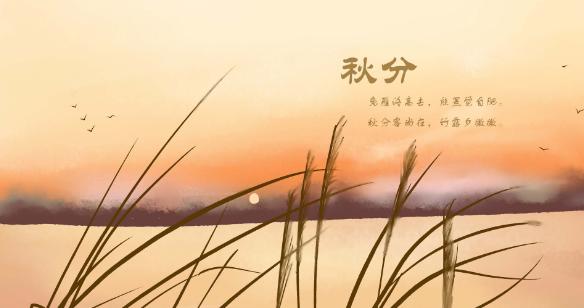 十一、风过处，落叶纷飞，这是一幅多么优美的画面啊！