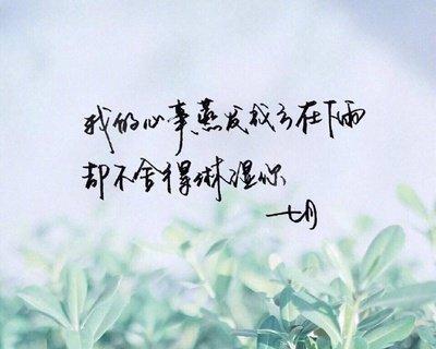 走进文学世界（走进文学世界）