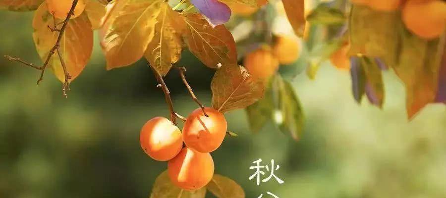 感受大自然的味道（感受大自然的味道）