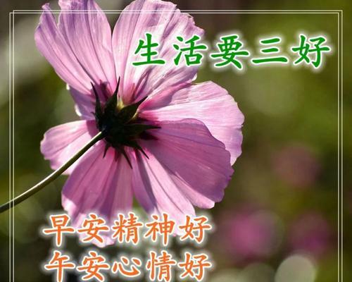 带着梦想，拥抱未来（带着梦想）