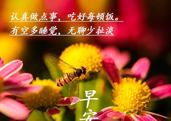 迎接全新的开始（2024年9月1日美好的梦想）