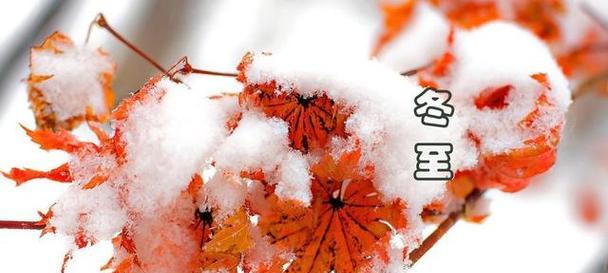 落雪寒意，迎接冬至的唯美诗句（冬至将至）