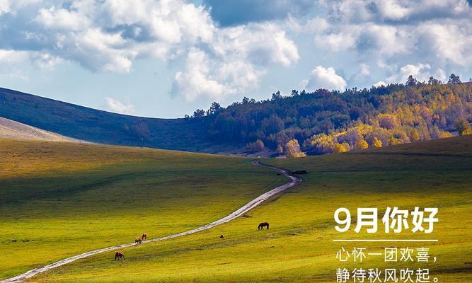 迎接八月，唯美短句点亮生活