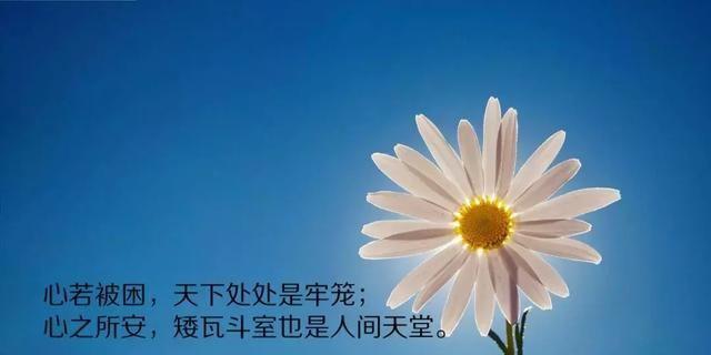迎接12月，与梦想同行（励志唯美短句25篇）