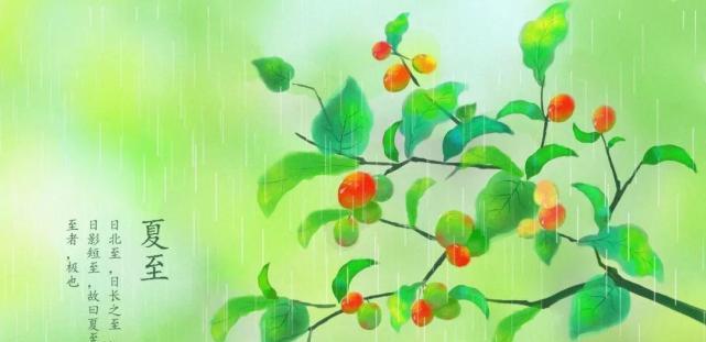 感受大自然的神奇魅力（感受大自然的神奇魅力）