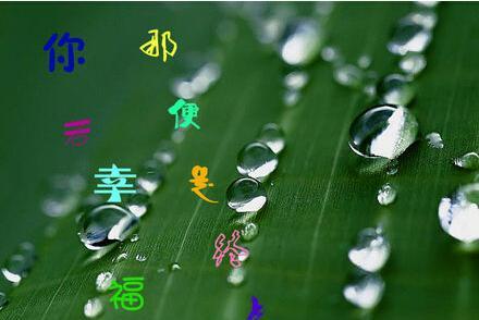 爱在心间，幸福相伴（爱在心间）