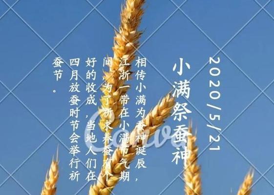 小满花开，春风满怀（2024年小满的诗意与神韵）