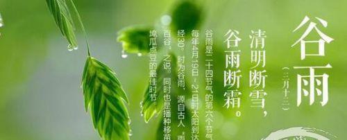 2024年经典谷雨祝福（春日艳阳满地红）