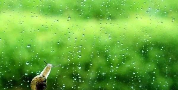 迎接2024年谷雨，感受大自然的生机盎然（探寻谷雨意境）