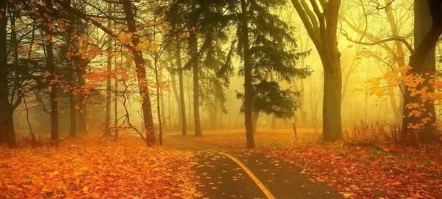 《岁月轮回，人生蜕变》