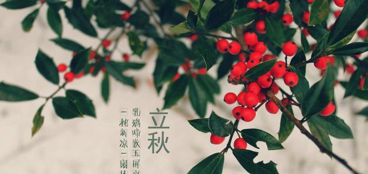 有关立秋的小作文最新的作文怎么写（《立秋之际的青春篇章》）