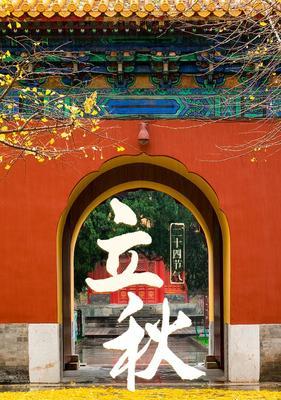 有关短篇立秋的作文的作文怎么写（《秋意浓，青春更浓》）