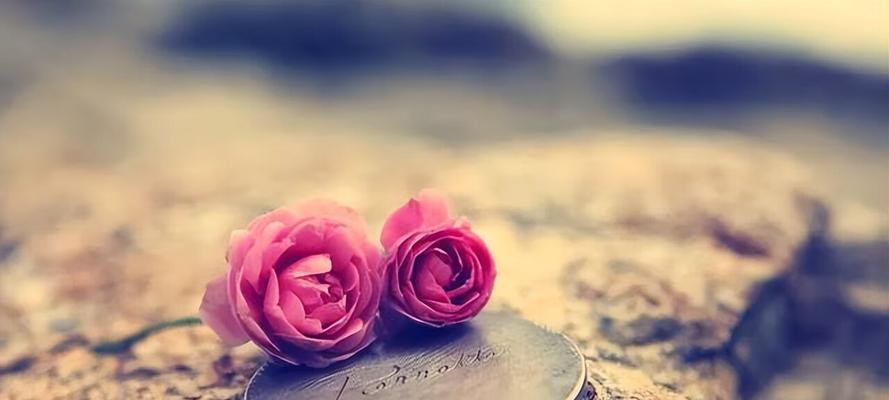 唯美愿望：洒满生命的星光