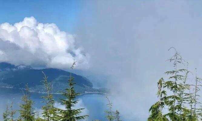 沧海桑田——唯美诗句的魅力（岁月变迁）