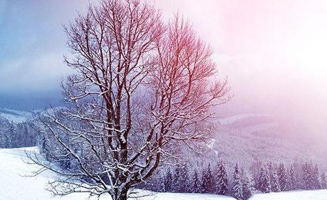 大雪纷飞之唯美景象