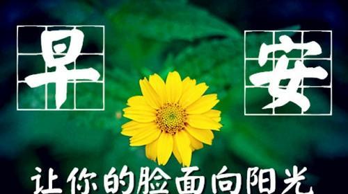 在清晨的阳光下，一切都变得那么美好，那么简单，那么纯粹。