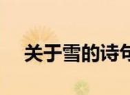 洁白如银，细腻如羽（洁白如银）