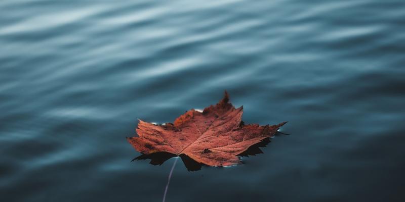 《流动的灵魂》——水是有灵性的