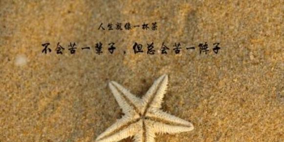 人生的经典唯美短句子——感受生命的美丽