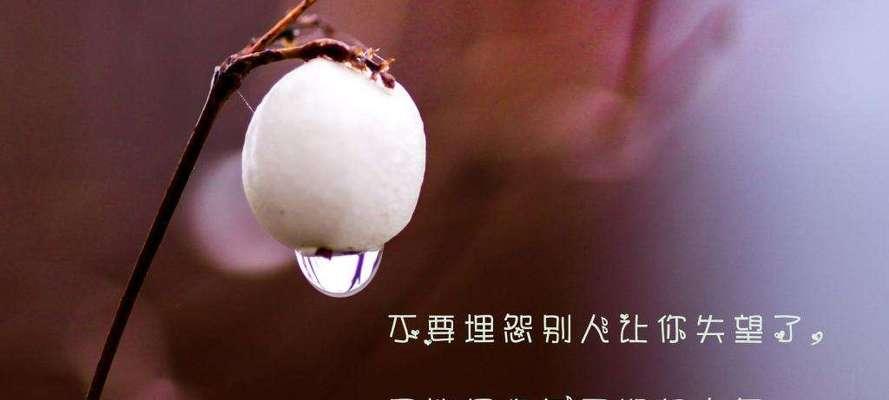 心情的美丽与理解（用唯美的语言表达心情）