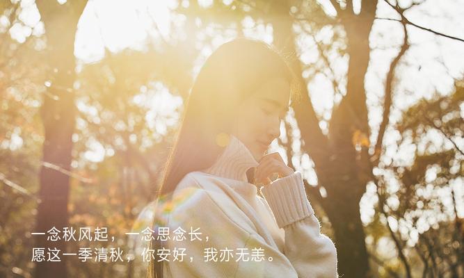 深情的相思（男人的诗句）