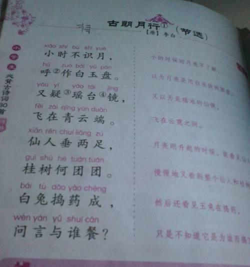 以托物言志的唯美诗句（探索自然美好与人类情感）