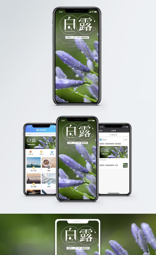 有关关于白露节气的素材作文的作文怎么写（《白露之约——小学生的秋日篇章》）