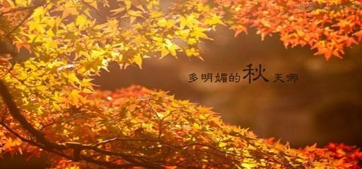 秋之赞歌——颂美收获的季节