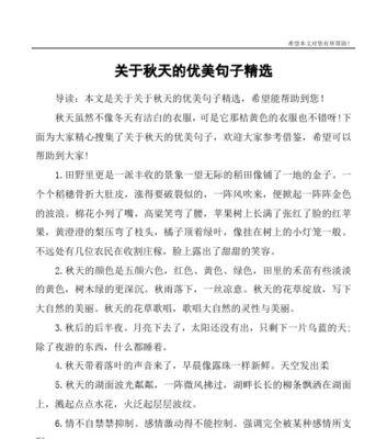 秋天的美丽（落叶纷飞）